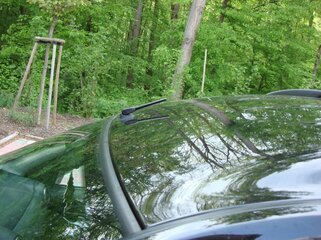 DSC02847.jpg