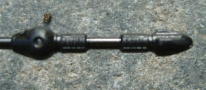 SNV80028.JPG