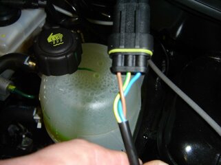 mcv 002.jpg