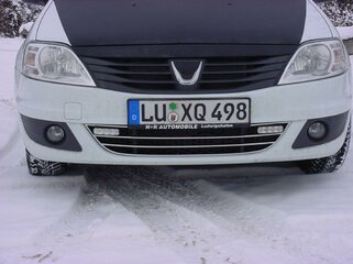 LOGAN TUBE Belüftungsgrill m. DRL 3.jpg