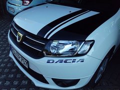 Dacia tuning 2014 002 - Kopie.JPG