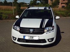Dacia Tuning 2014 031 - Kopie.JPG
