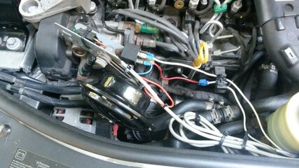 K1600_20140704_124355.jpg