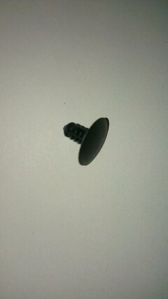 IMAG0108.jpg