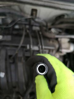 IMG_20210227_100440.jpg