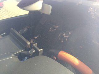 IMG_20210421_103817887.jpg