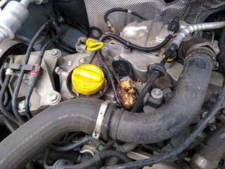 IMG_20190509_171912075.jpg