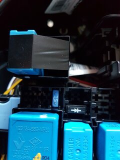 20210425_190012.jpg