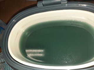 20210501_105953.jpg