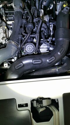 IMG-20210503-WA0008.jpeg