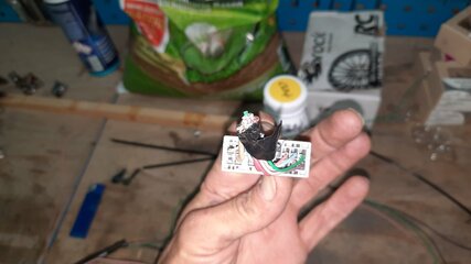 20210515_194415.jpg