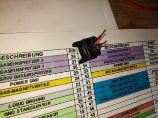 Injektorstecker#3_ausgebaut.jpg