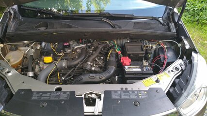 IMG_20210710_170149544.jpg