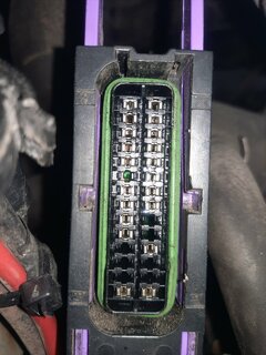 Stecker Gassteuergerät nah.jpg