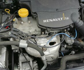IMG_20210711_174654.jpg