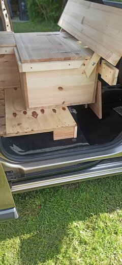 IMG_20210712_172234.jpg