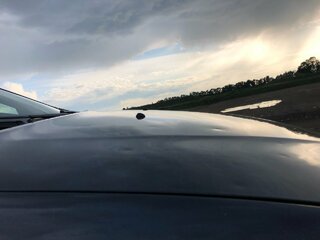 IMG_0505.jpg