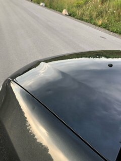 IMG_0506.jpg