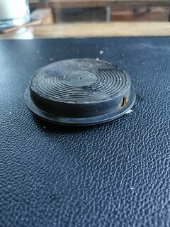 IMG_20210807_064455.jpg