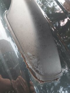 20210810_205643.jpg 20210810_205643.jpg