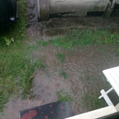 IMG_20210822_080512_836.jpg