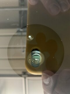 IMG_7754(1).JPEG