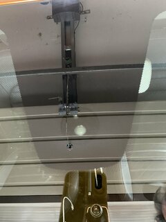 IMG_7755(1).JPEG