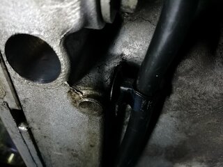 IMG_20210906_183118.jpg