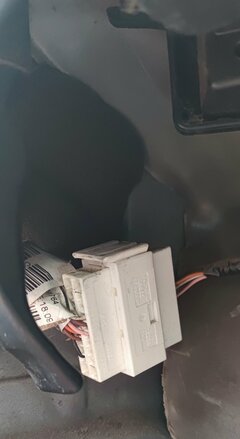 stecker.jpg