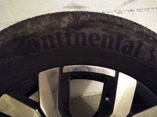 IMG_20211013_200945811.jpg