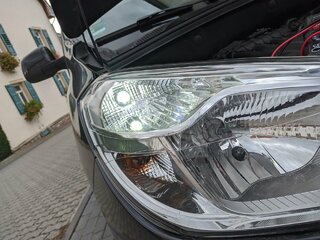 IMG_20211022_150902_tigr.jpg