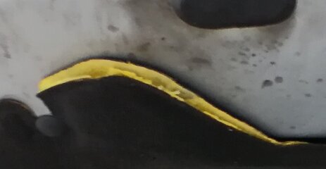 IMG_20211120_162814.jpg