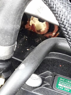 20211124_123430.jpg