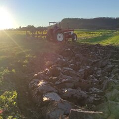 IMG_20211123_175721_610.jpg