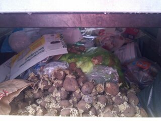 Kartoffeln in Gelber Tonne -Leichtstoffe.jpg