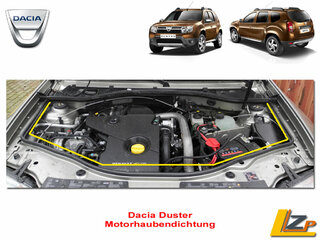 Motorraumdichtung-Duster.jpg
