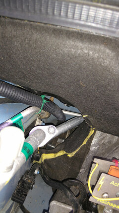 IMG_20220125_100416670.jpg