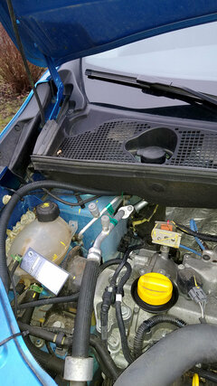 IMG_20220125_100422007.jpg