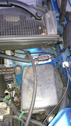 IMG_20220125_100434676.jpg