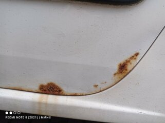 IMG_20220222_133352.jpg