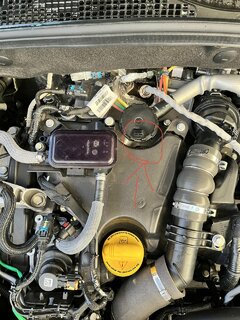 E55A2AE9-5B26-4A46-8009-894C7EFEC793.jpeg
