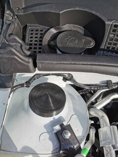 IMG_20220411_184337.jpg