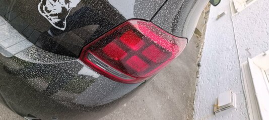 1650047333556.jpg