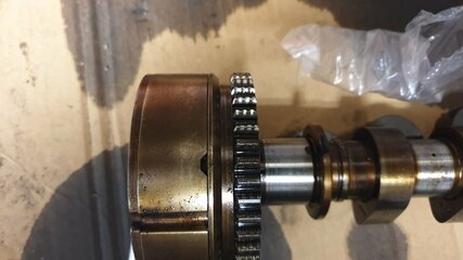20220516_071425.jpg