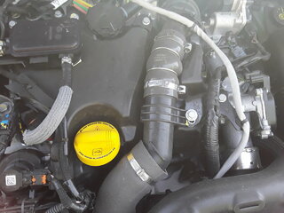20220515_130516.jpg