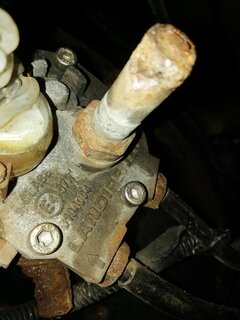 IMG_20220608_143902.jpg