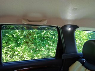 IMG_20220621_081048.jpg