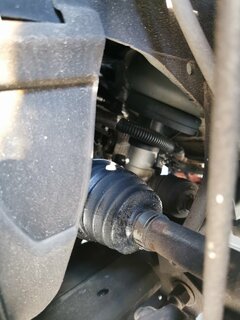 IMG_20220716_190406.jpg