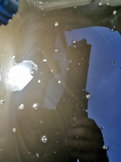 IMG_20210811_203144.jpg