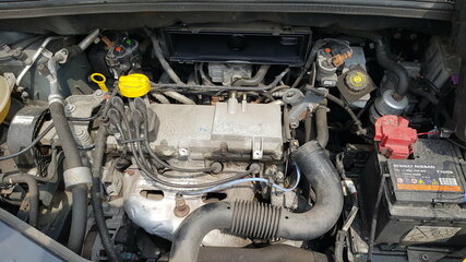 20200617_124955.jpg